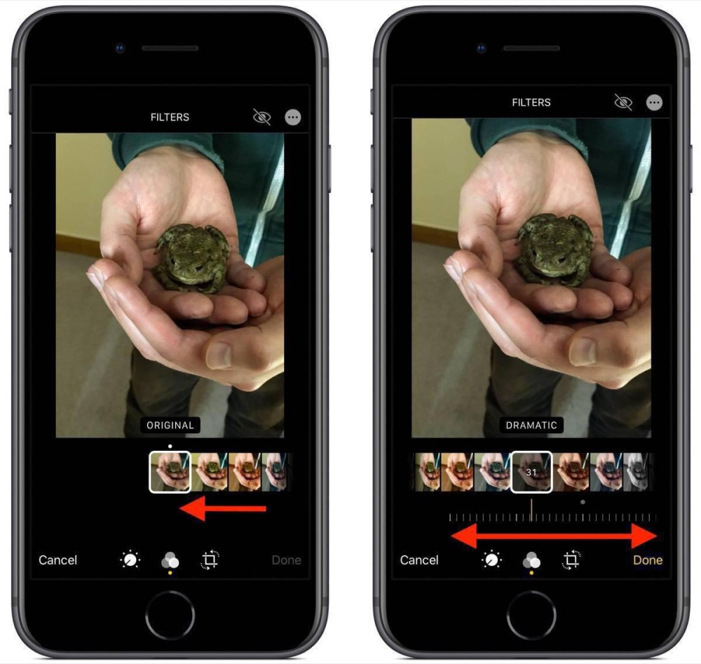 iOS 13 教程：如何调整应用于照片中的图像滤镜？插图3