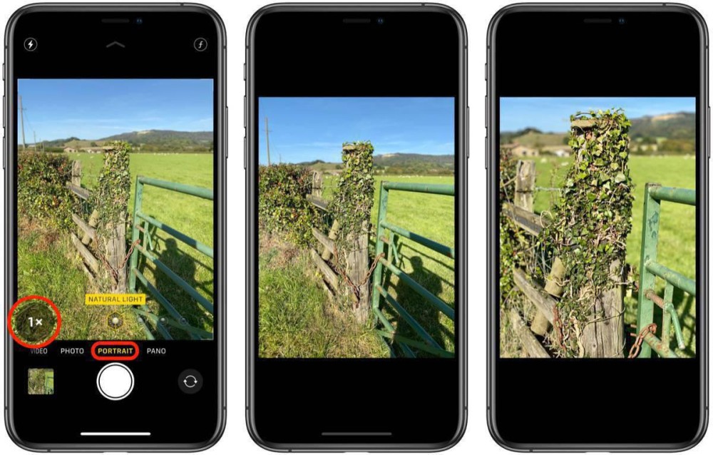 如何在 iPhone 11 Pro  系列纵向拍摄模式下切换焦距？插图1