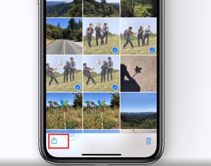 iOS 13 拍摄技巧：将多张实况照片转换为视频插图3