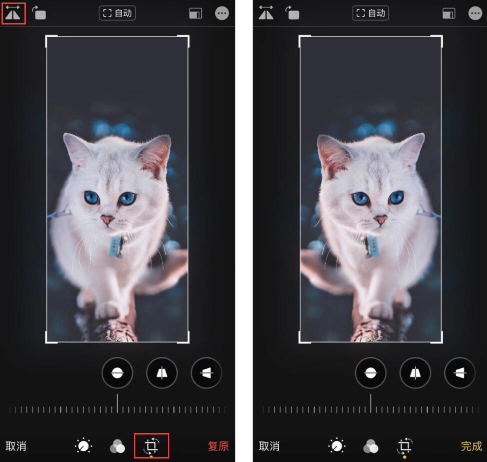 iPhone 前置摄像头拍照左右相反？试试 iOS 13 的照片编辑功能插图1