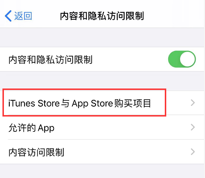 iOS 13 如何禁止下载应用和购买项目？插图3
