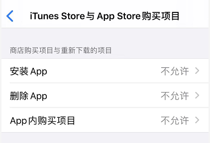 iOS 13 如何禁止下载应用和购买项目？插图5