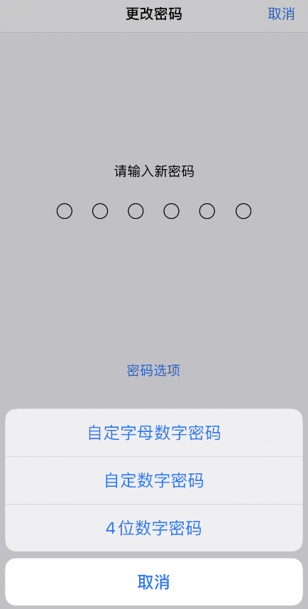 iOS 13 使用“钱包”需要 6 位密码，如何设置？插图5