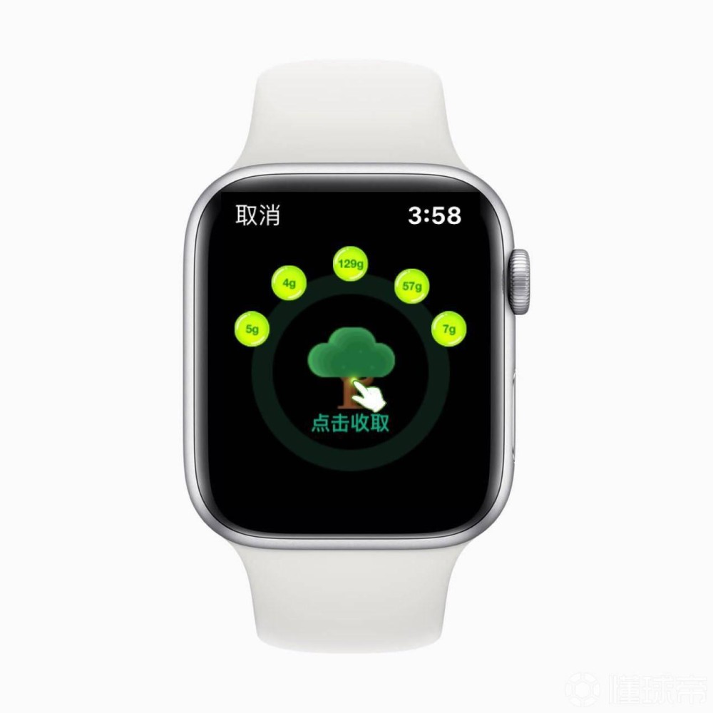 Apple Watch 支付宝新功能：“一键收取”蚂蚁森林能量插图3