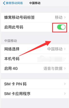 iPhone XS Max 如何单独关掉一张 SIM 卡？插图5
