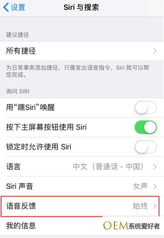 在 iPhone XR 上无法正常使用 Siri 怎么办？插图7