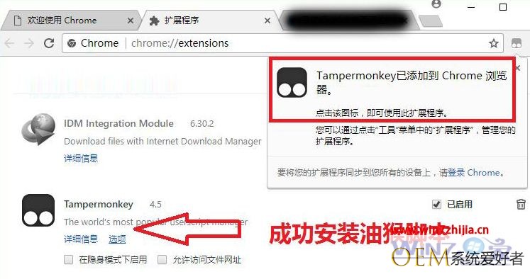 谷歌浏览器无法下载油猴怎么办 谷歌浏览器下载安装油猴插件的正确方法