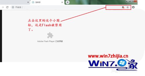 最新版谷歌浏览器禁用了flash怎么办 谷歌浏览器flash被禁用怎么启动