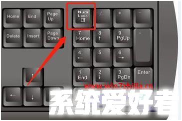 数字键盘变成上下左右怎么解决 数字键盘成了上下左右怎么办