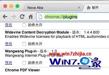 windows7系统下使用Chrome提示Adobe因过期而遭到阻止如何解决