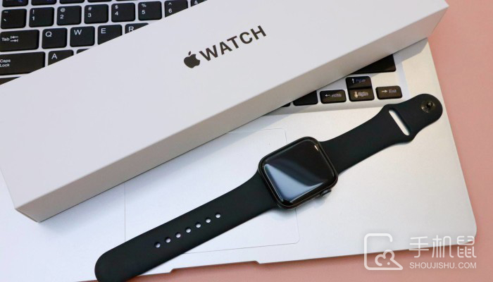 Apple Watch SE 2表带介绍