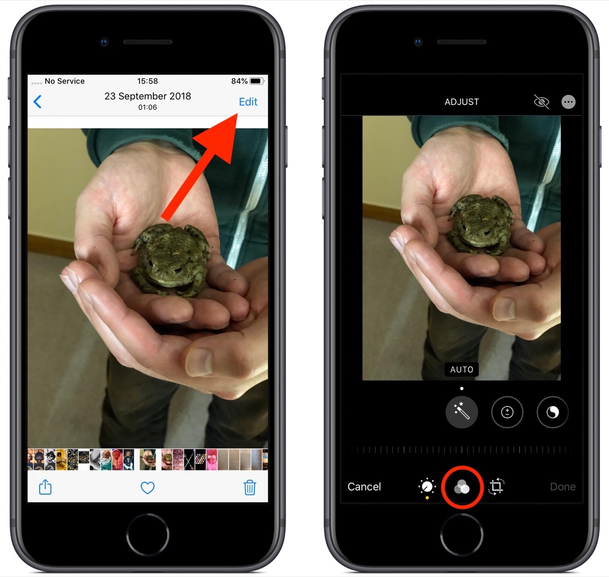 iOS 13 教程：如何调整应用于照片中的图像滤镜？