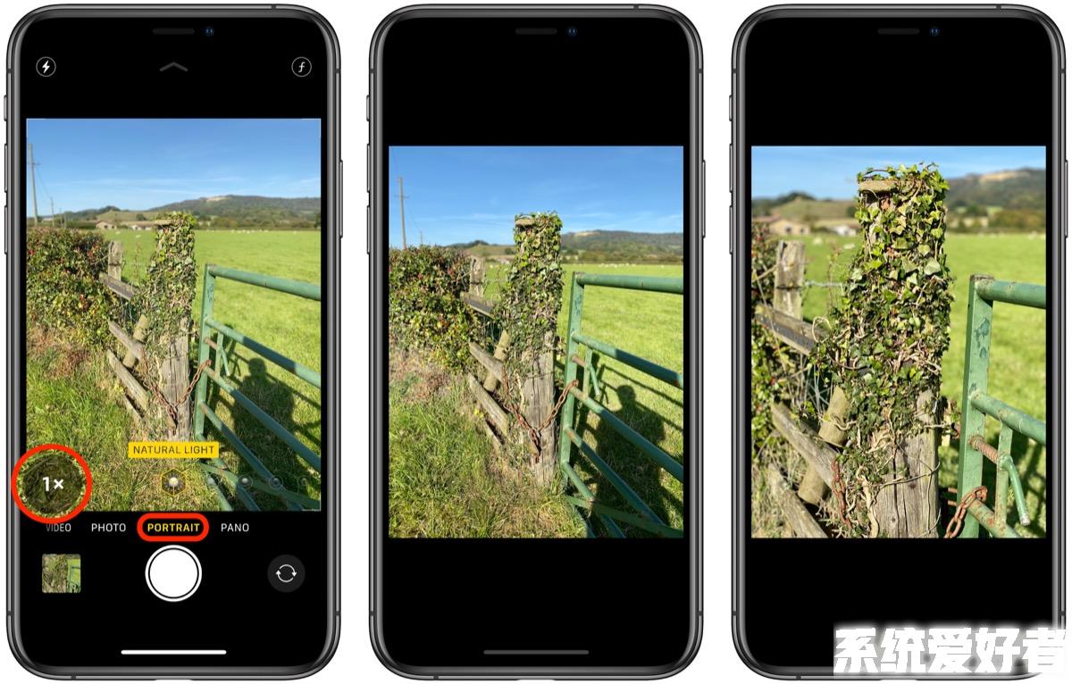 如何在 iPhone 11 Pro  系列纵向拍摄模式下切换焦距？