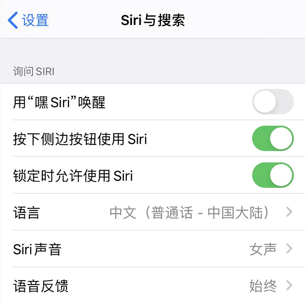 iOS 13 小技巧：让 Siri 陪你玩“成语接龙”