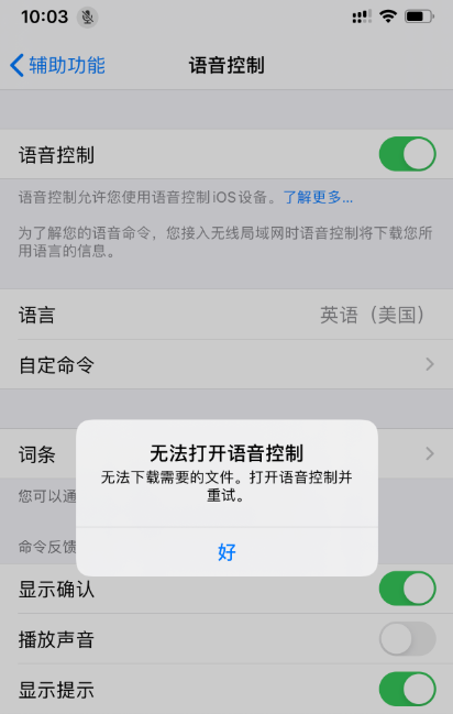 iPhone 11 提示“无法打开语音控制”，无法下载需要的文件怎么办？