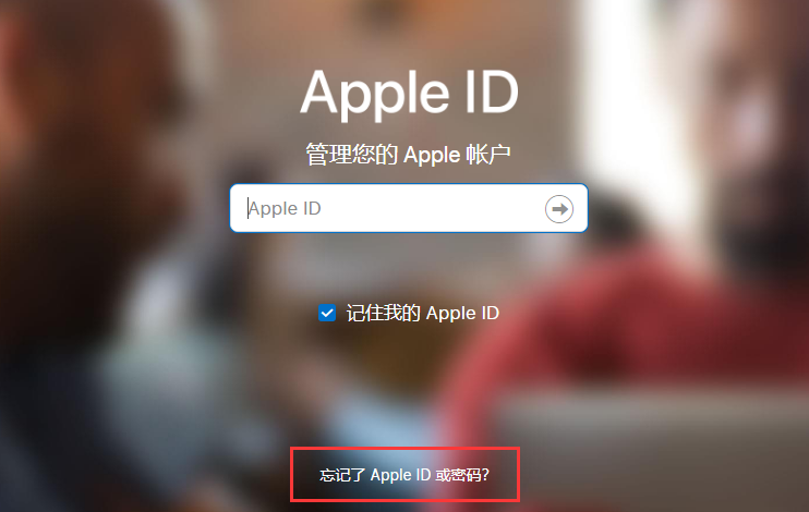 在 iPhone 12 上登录 Apple ID 时遇到问题怎么办？