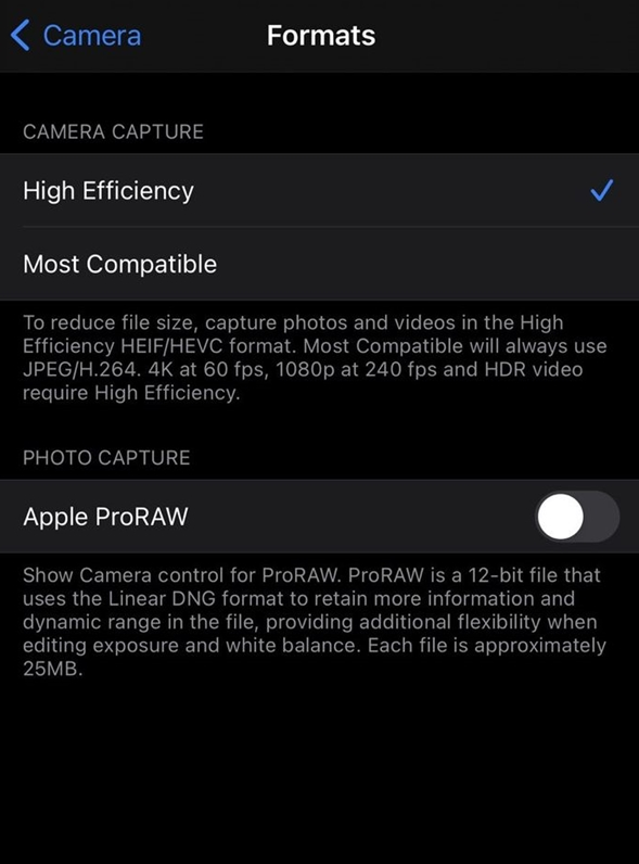 如何为 iPhone 12 Pro/Max 启用 ProRAW 照片格式？