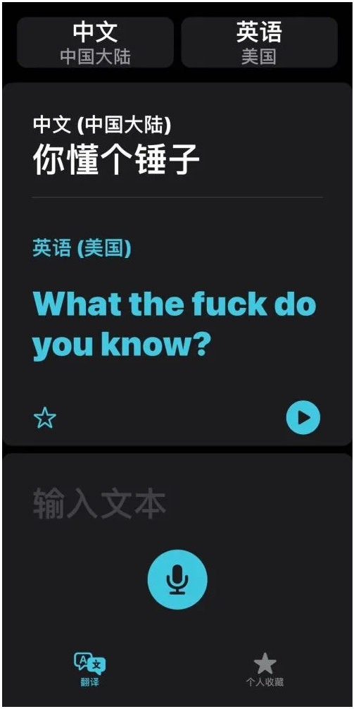 iOS14的“翻译太懂了”怎么用？