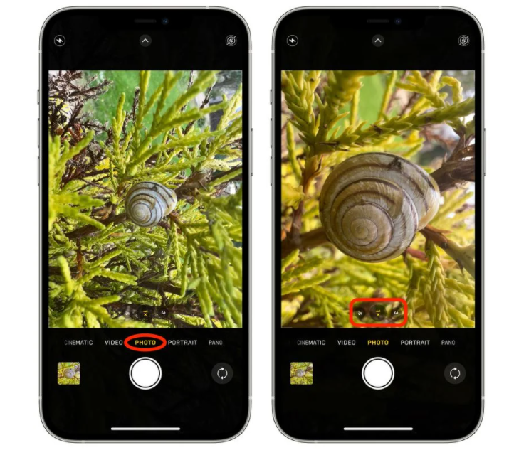 如何使用 iPhone 13 Pro/Max 微距模式进行拍摄？