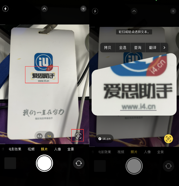 升级iOS 16后如何通过相机翻译文本？