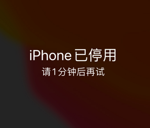 iPhone 显示“不可用”或“已停用”怎么办？还能保留数据吗？
