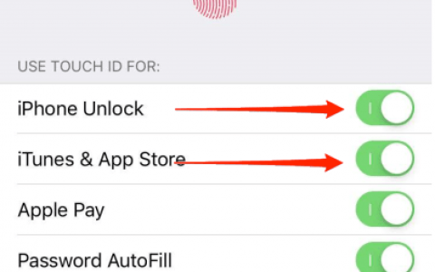 苹果iPhone遇无法在此iPhone上激活Touch ID怎么办？
